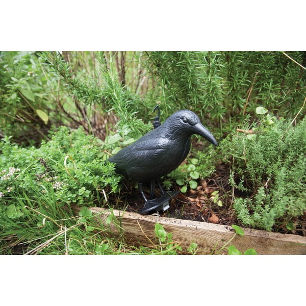 Пластмасово плашило за птици Crow – Esschert Design-image-3
