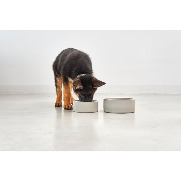 Порцеланова купа за куче ø 20 cm Scodella Greige M/L – MiaCara-image-1