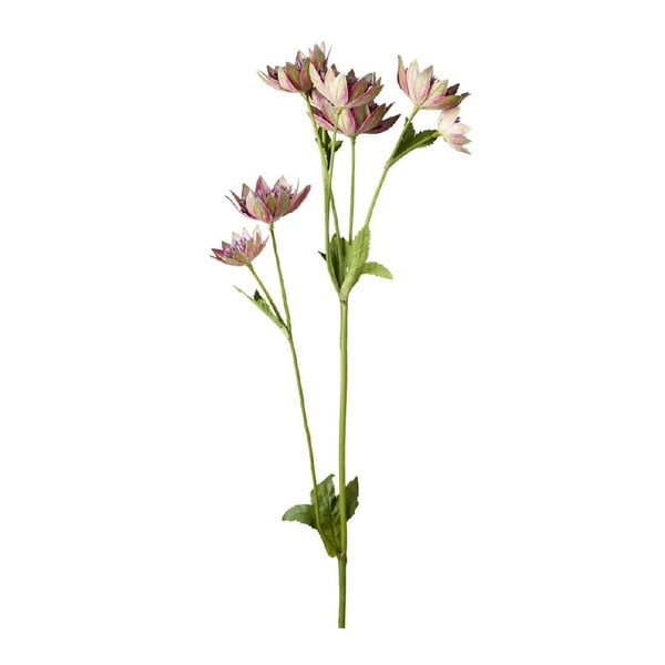 Изкуствено цвете Strantia Light - Parlane