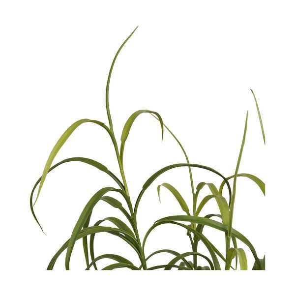 Изкуствено растение (височина 89 cm) Grass – House Nordic-image-3