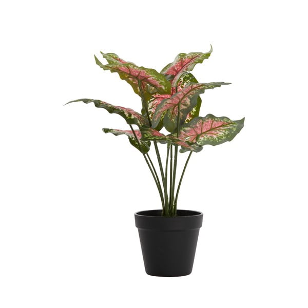 Изкуствено растение (височина 40 cm) Caladium – Light & Living