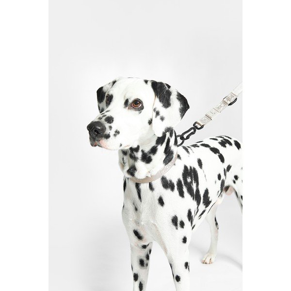 Бежов нашийник M/L дължина 35 cm Modena Greige M/ML – MiaCara-image-3