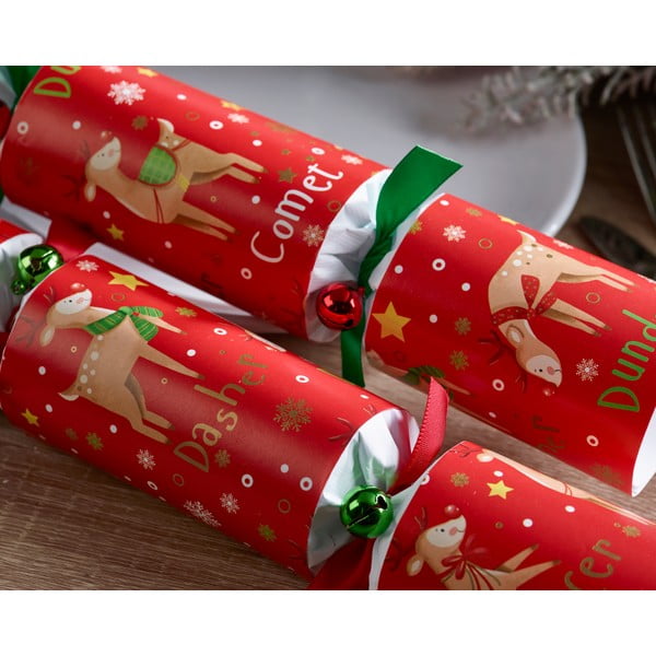 Коледни крекери в комплект от 6 бр. Rudolph & Friends – Robin Reed-image-2