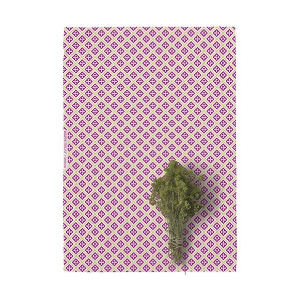 Комплект от 2 памучни кухненски кърпи , 70 x 50 cm Cactus - Happy Friday Basic-image-3