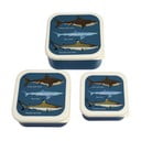 Тъмносини детски кутии за храна 3 бр. Sharks – Rex London