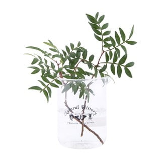 Стъклена ваза (височина 12 cm) Natural History – Esschert Design