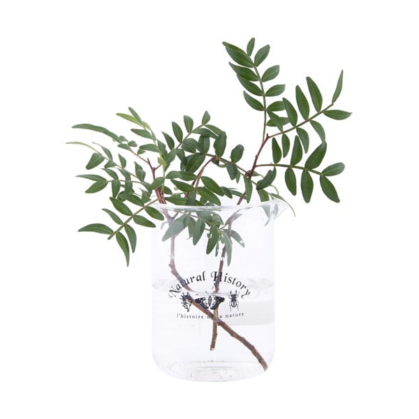 Стъклена ваза (височина 12 cm) Natural History – Esschert Design-image-1