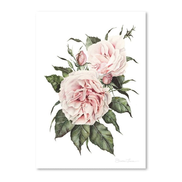 Плакат "Розови градински рози" от Шилин Луиз, 30 x 42 cm - Americanflat