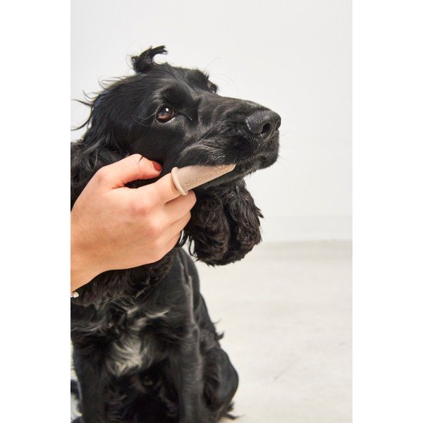 Четки за зъби за кучев комплект Dito – MiaCara-image-1