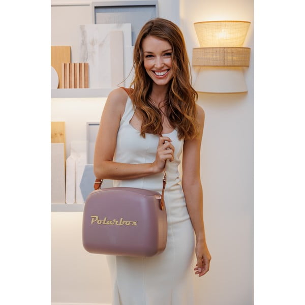 Кафява хладилна чанта 6 l Classic Gold – Polarbox-image-1