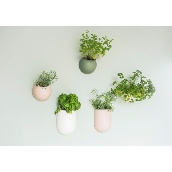 Светлорозова керамична саксия за стена Oval - PT LIVING-image-1