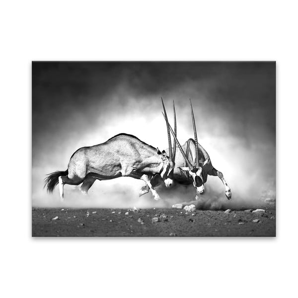 Изображение Glas Животни Газела, 70 x 100 cm - Styler
