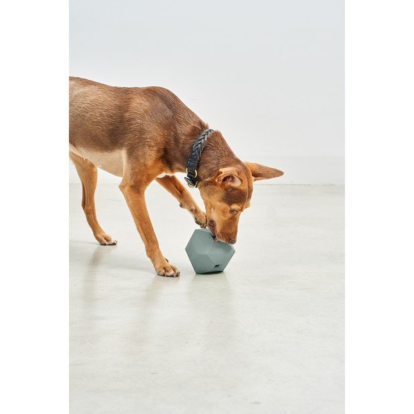 Играчка за куче Dado Eucalyptus – MiaCara-image-1