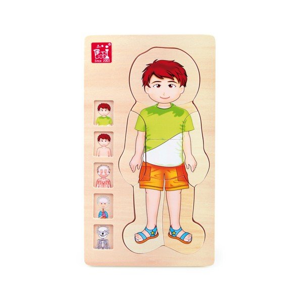 Дървена играчка Анатомия Момче - Legler-image-1