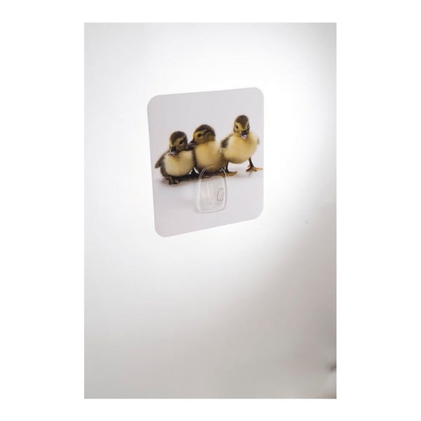 Стена кука Magic Ducks - Compactor