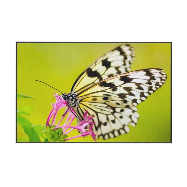 Зелен килим Пеперуда, 80 x 140 cm - Oyo home