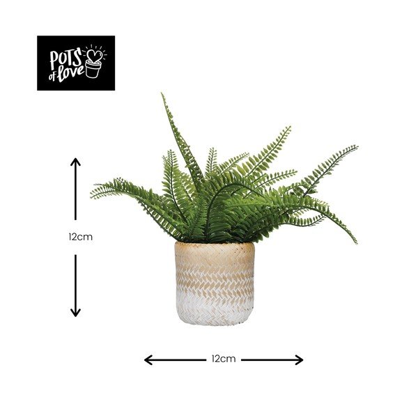 Саксия с цветя от морска трева Ombré - Kitchen Craft-image-2