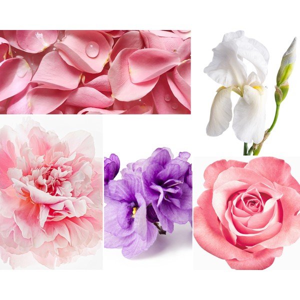 Дифузер със стик , 200 ml Rose Pivoine - Privé Home-image-1