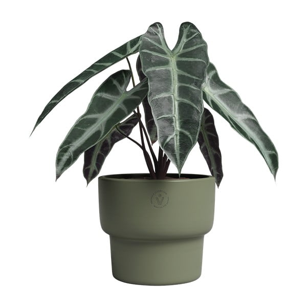 Керамична ръчно изработена саксия за цветя ø 17 cm Echo – Artevasi-image-2