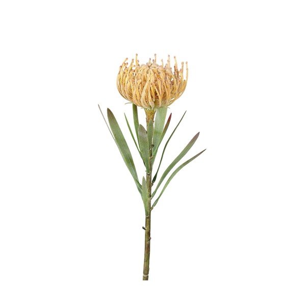 Изкуствено цвете (височина 43 cm) Protea – Ego Dekor