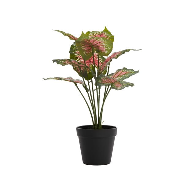 Изкуствено растение (височина 40 cm) Caladium – Light & Living-image-1