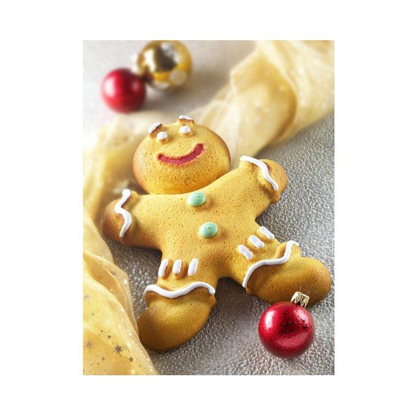 Forma Mr. Ginger-image-1