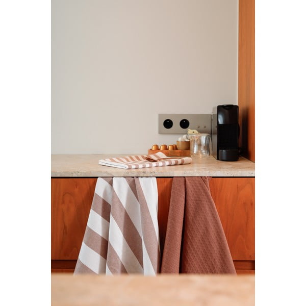 Памучни кърпи за съдове в комплект от 3 бр. 51x74 cm Marra – Tiseco Home Studio-image-4