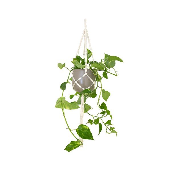 Текстилна закачалка за саксия ø 13 cm (височина 100 cm) Macramé – Artevasi