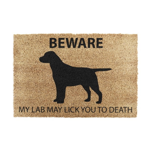 Изтривалка от кокосови влакна 40x60 cm Labrador – Artsy Doormats