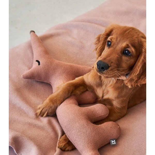 Играчка за куче Bosco Rabbit – MiaCara-image-3