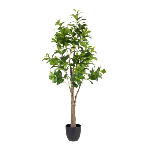 Изкуствено растение (височина 145 cm) Peperomia – Ixia