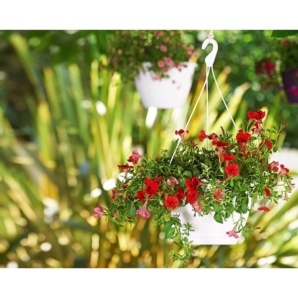 Пластмасова саксия за цветя ø 31 cm Algarve – Artevasi-image-1