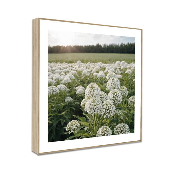 Картини в комплект 4 бр. 30x30 cm Sunrise Hike – knor-image-4