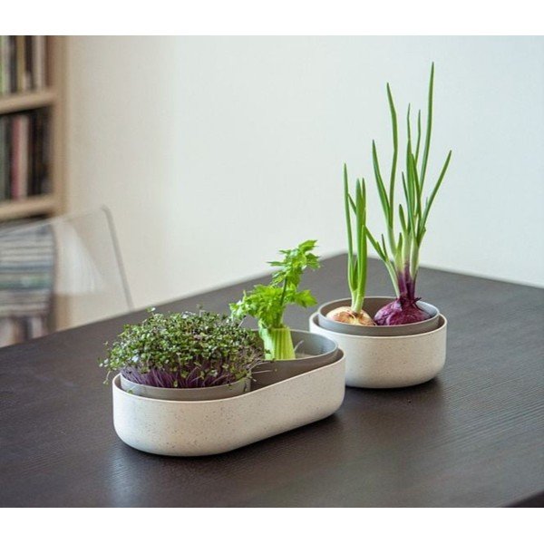 Пластмасова купичка за покълване Microgreens + Regrow – Plastia-image-1