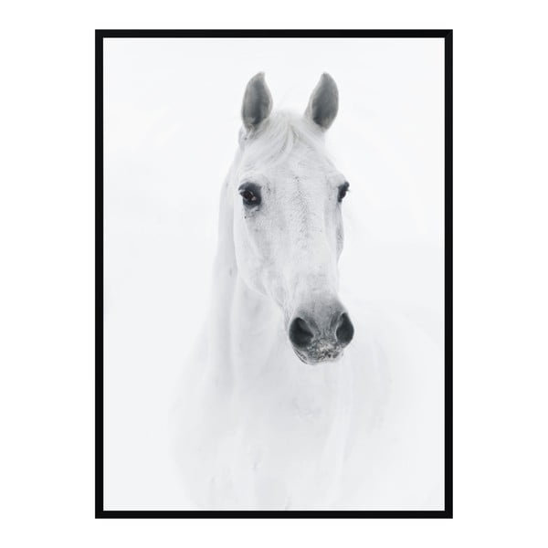 Plakát Nord & Co Horse, 21 x 29 cm