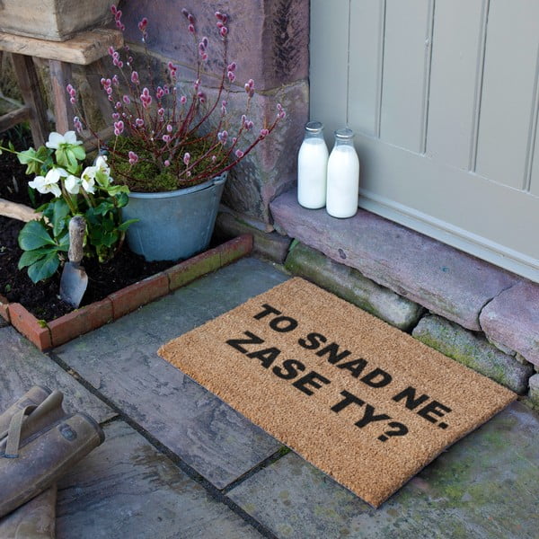 Изтривалка от кокосови влакна 40x60 cm Zase Ty? – Artsy Doormats-image-3
