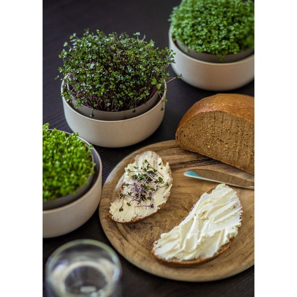 Пластмасова купичка за покълване Microgreens + Regrow – Plastia-image-3