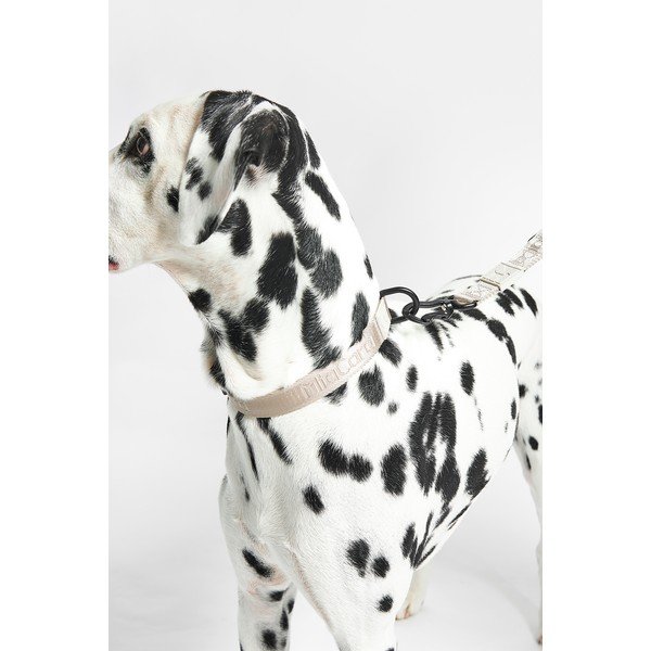Бежов нашийник M/L дължина 35 cm Modena Greige M/ML – MiaCara-image-1