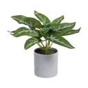 Изкуствено растение (височина 21 cm) Syngonium – Ixia