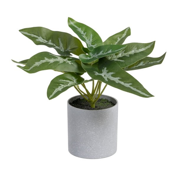 Изкуствено растение (височина 21 cm) Syngonium – Ixia