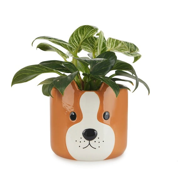 Керамичен съд ø 13,5 cm Woof - Balvi-image-1