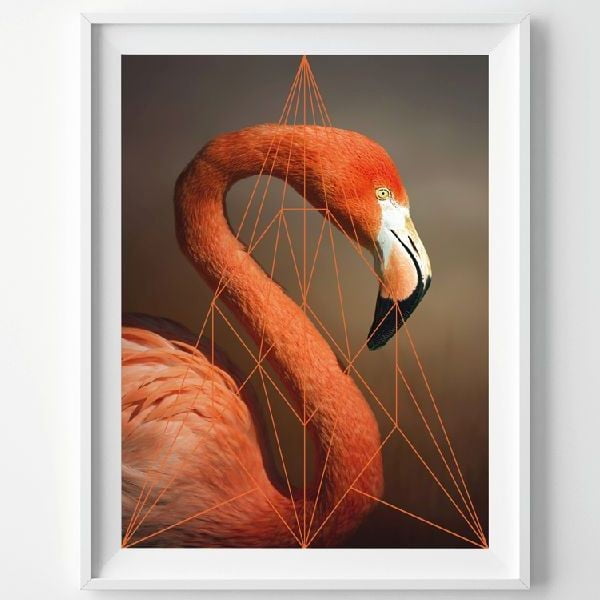 Plakát Flamingo Portrait, A3