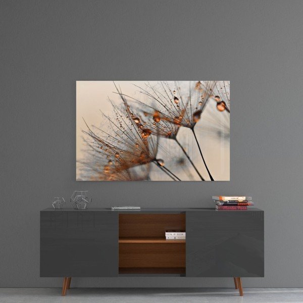 Картина върху стъкло , 72 x 46 cm Cinnamon Dandelion - Insigne-image-1