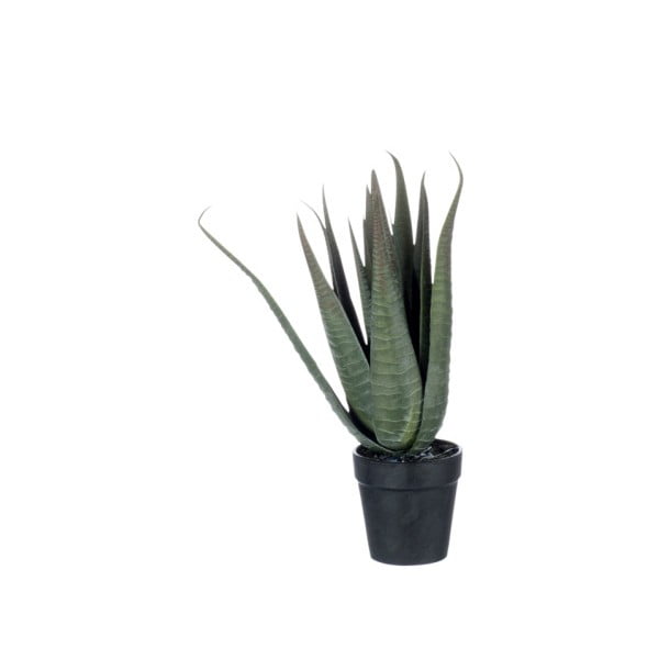 Umělá rostlina J-Line Aloe Vera, výška 36 cm