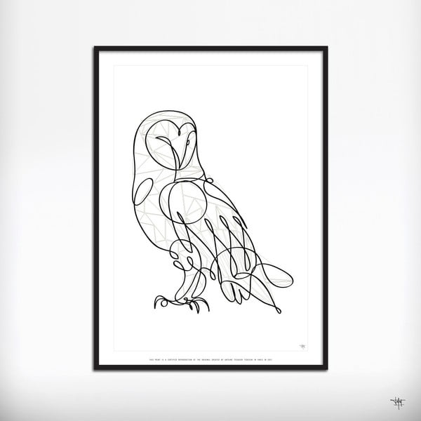 Plakát Barn Owl, ruční práce