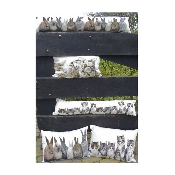 Polštář Rabbits 20x90 cm-image-2