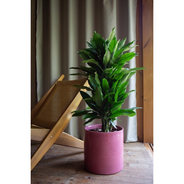 Керамично ръчно изработено покритие за кашпа ø 25 cm Fortuna – Artevasi-image-1