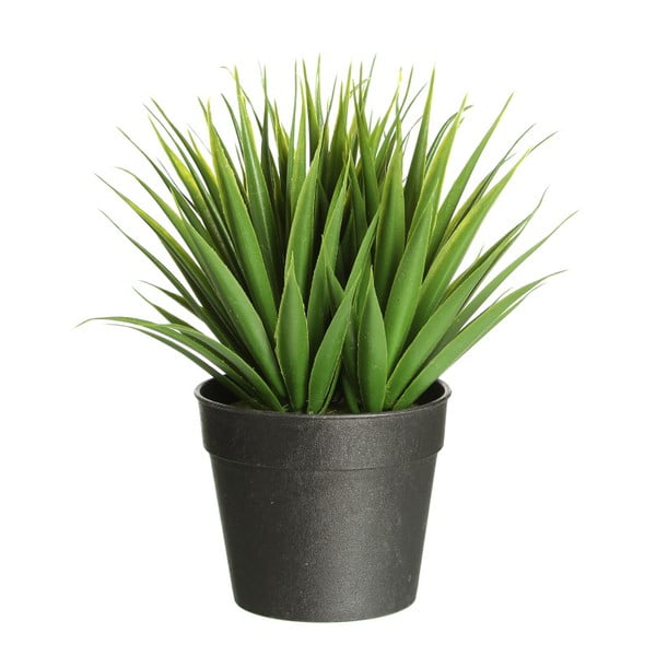 Umělá rostlina Ixia Palm, výška 19 cm