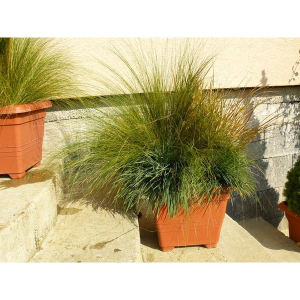 Кафява самонапояваща се саксия, 50 x 50 cm Bergamot - Plastia-image-1