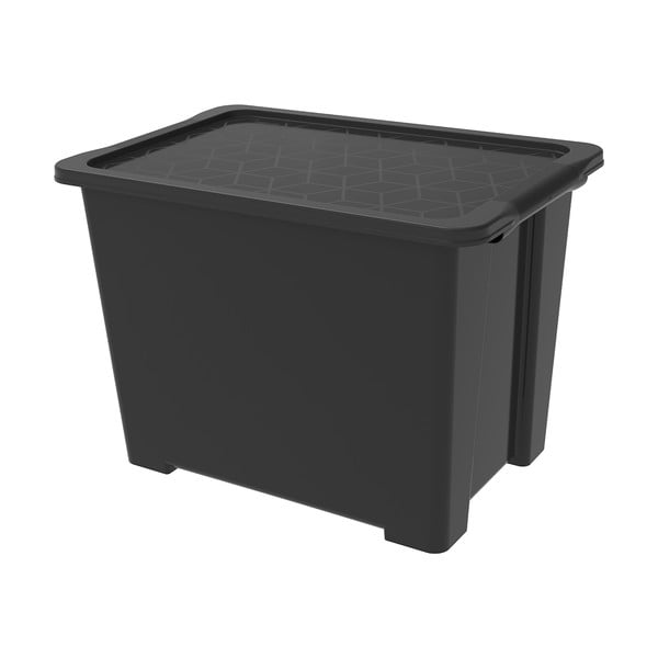 Пластмасова кутия за съхранение с капак Evo Easy - Rotho
